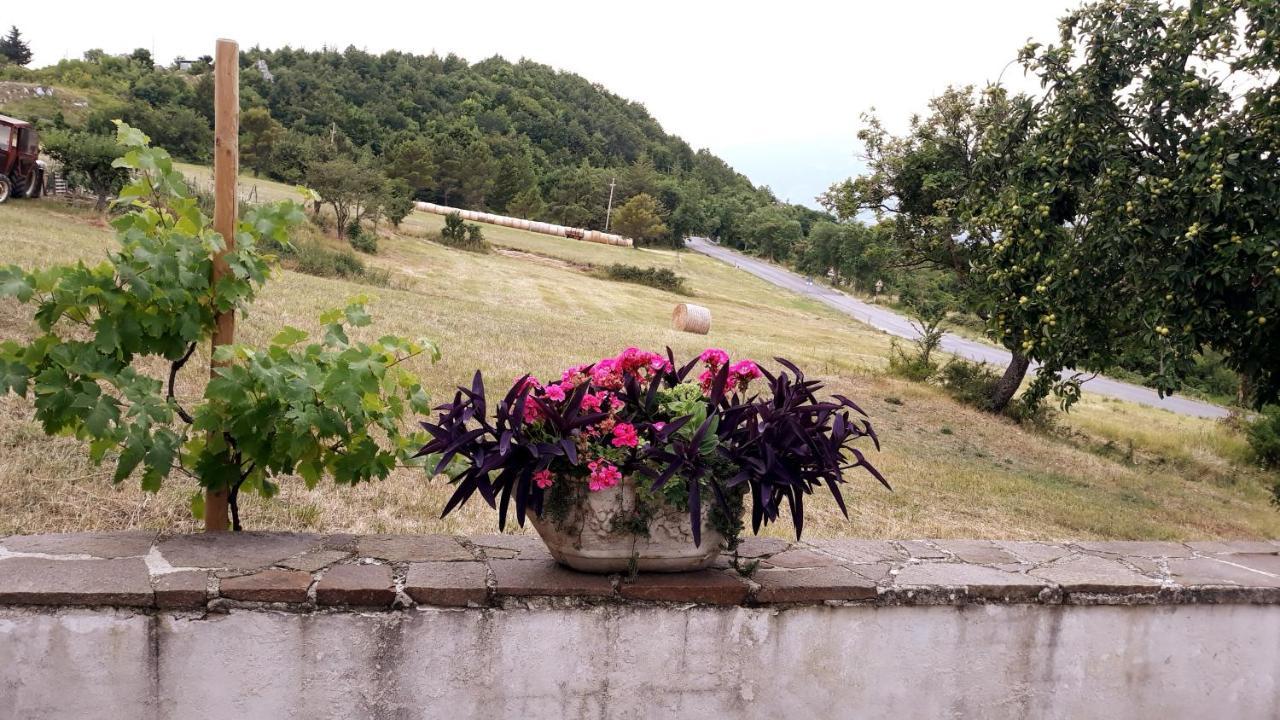 Agriturismo Persichitti Torricella Peligna Eksteriør billede