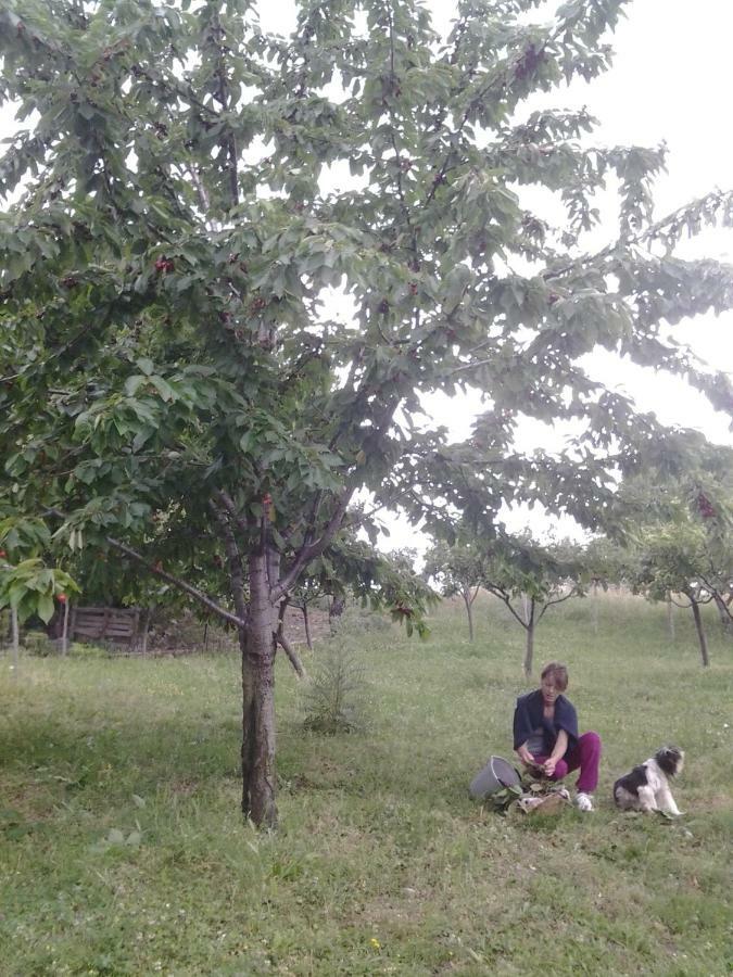 Agriturismo Persichitti Torricella Peligna Eksteriør billede